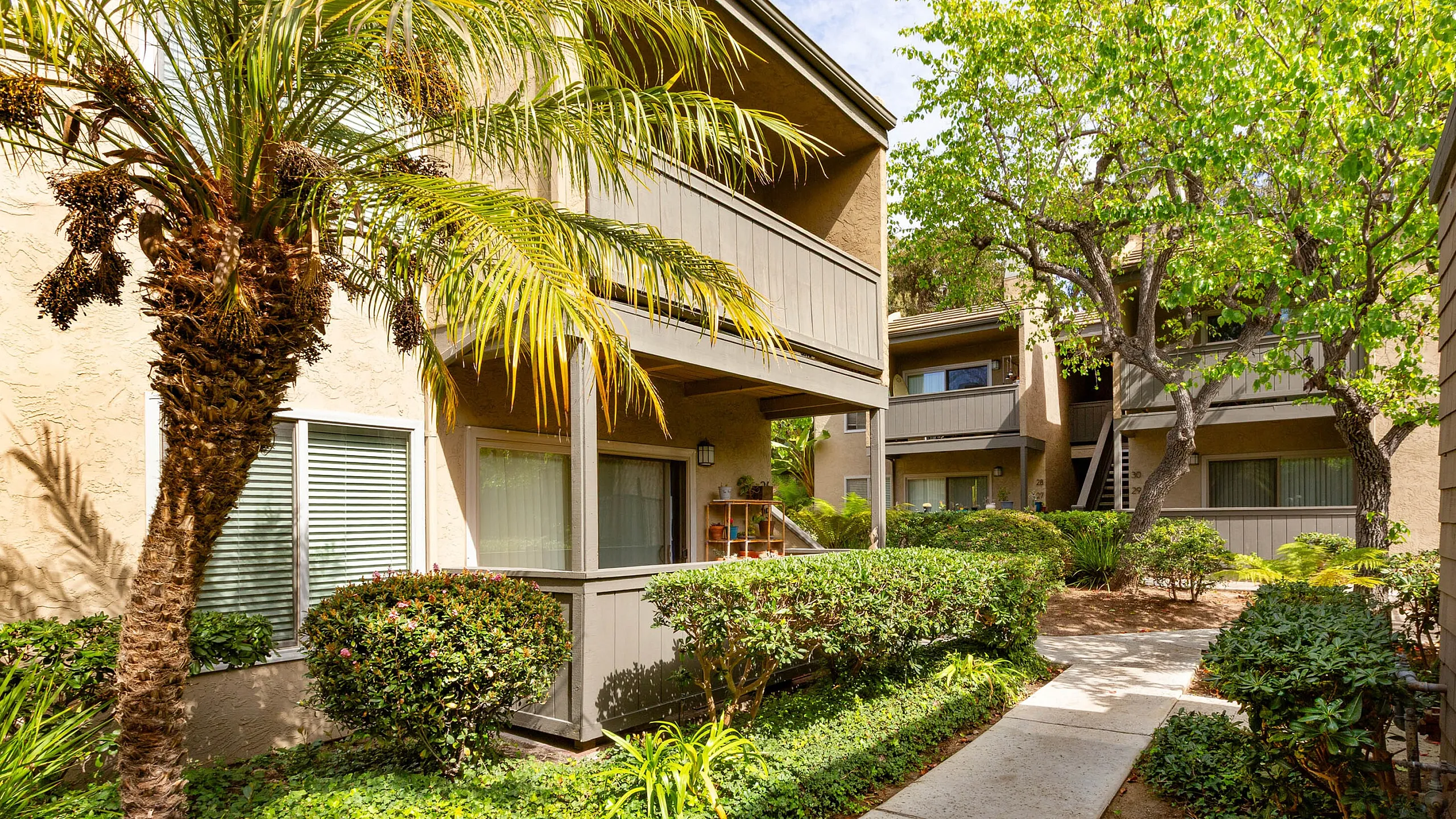 Exterior walkway at Elan Seacrest featuring tropical palm trees and well-maintained lush landscaping.