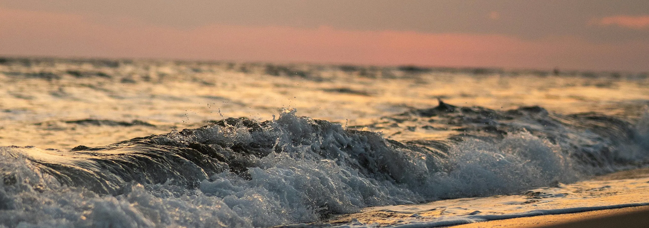 wave