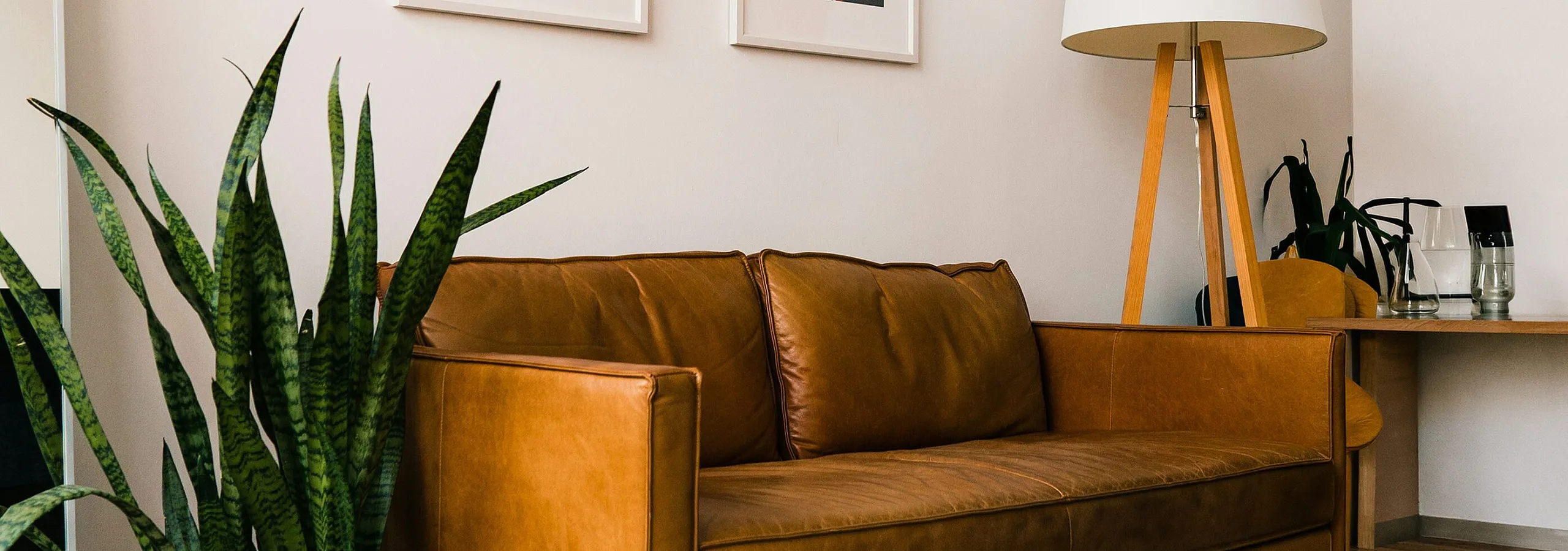 brown sofa with plant on one side and a lamp on the other