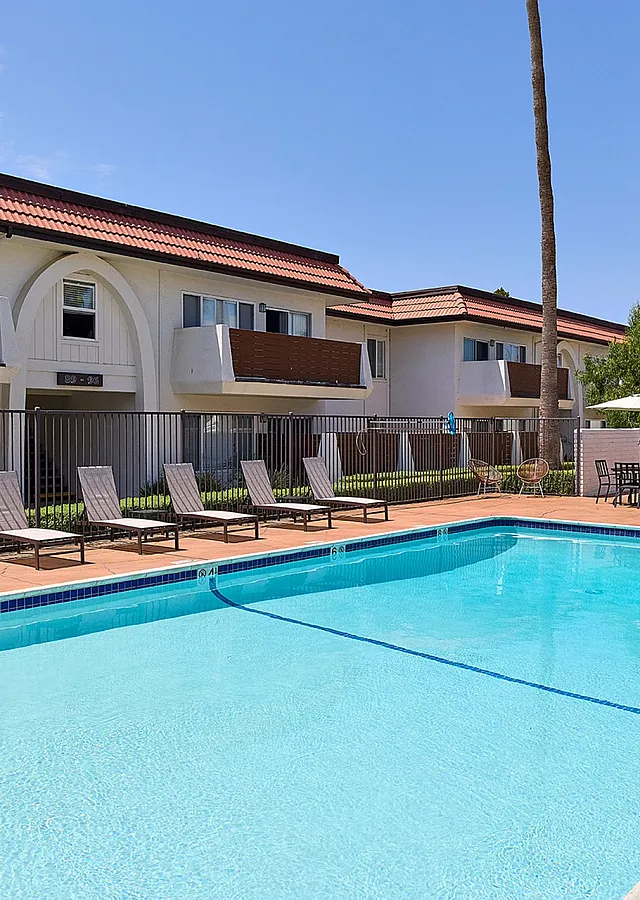 Pool and lounge area