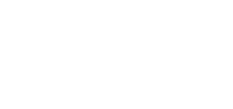 Village Apartment logo