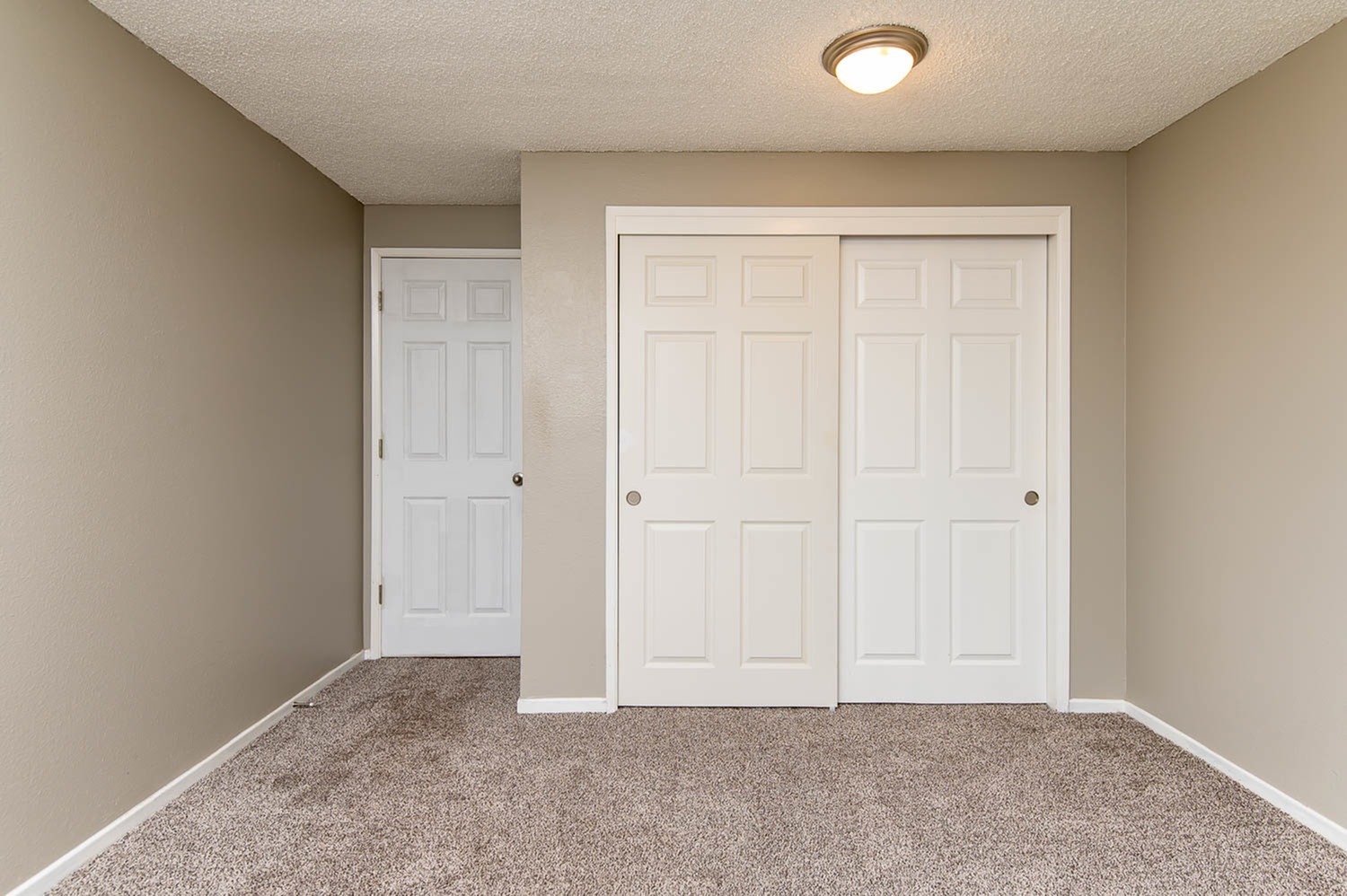 Bedroom with Closet and Carpet