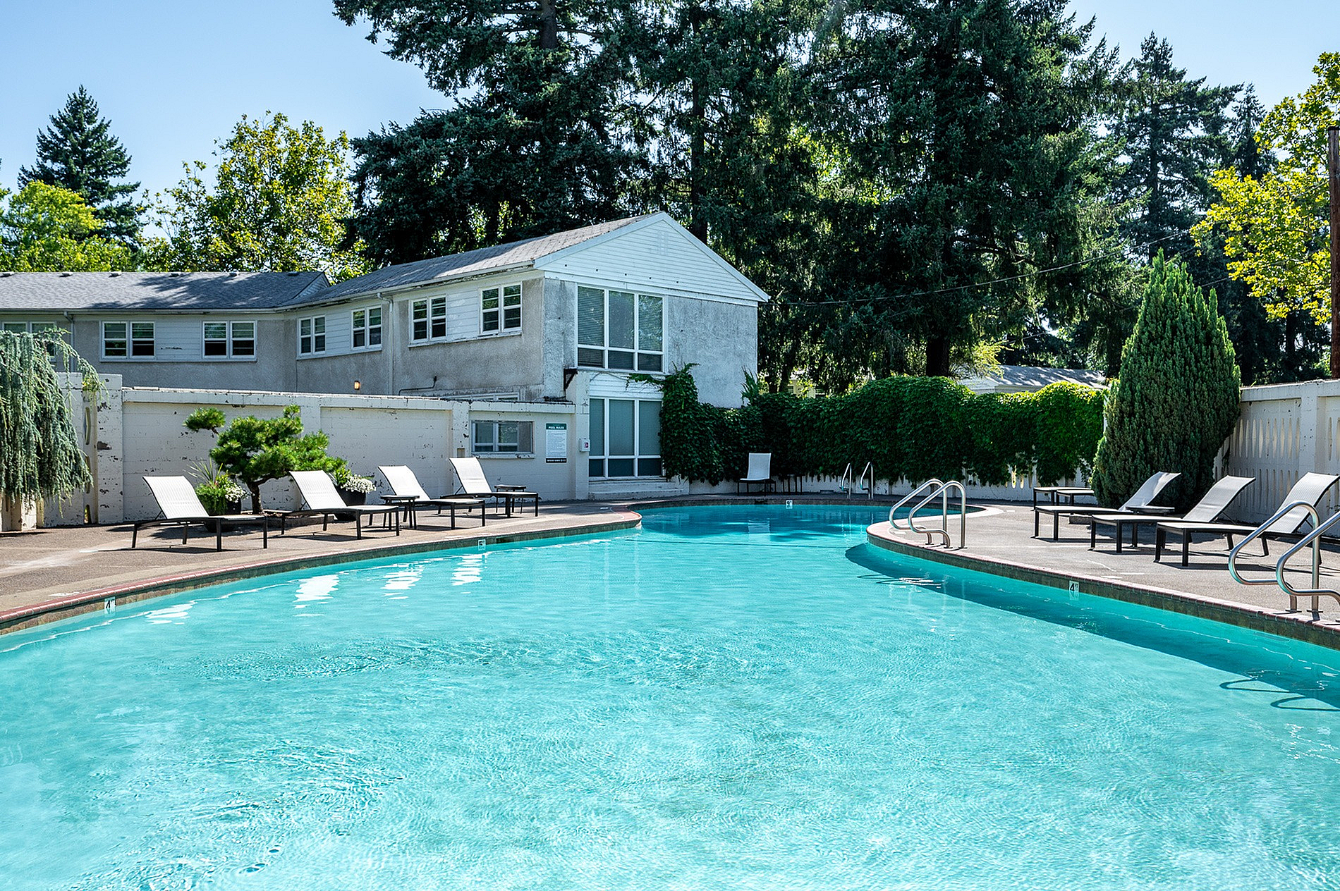 pool and lounge area