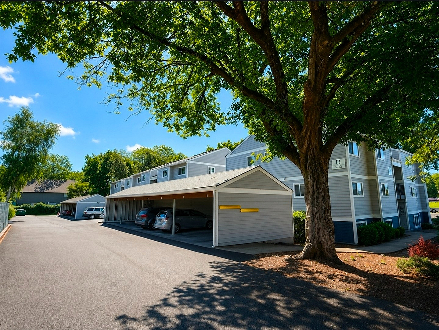 exterior photography of springrbrook apartments