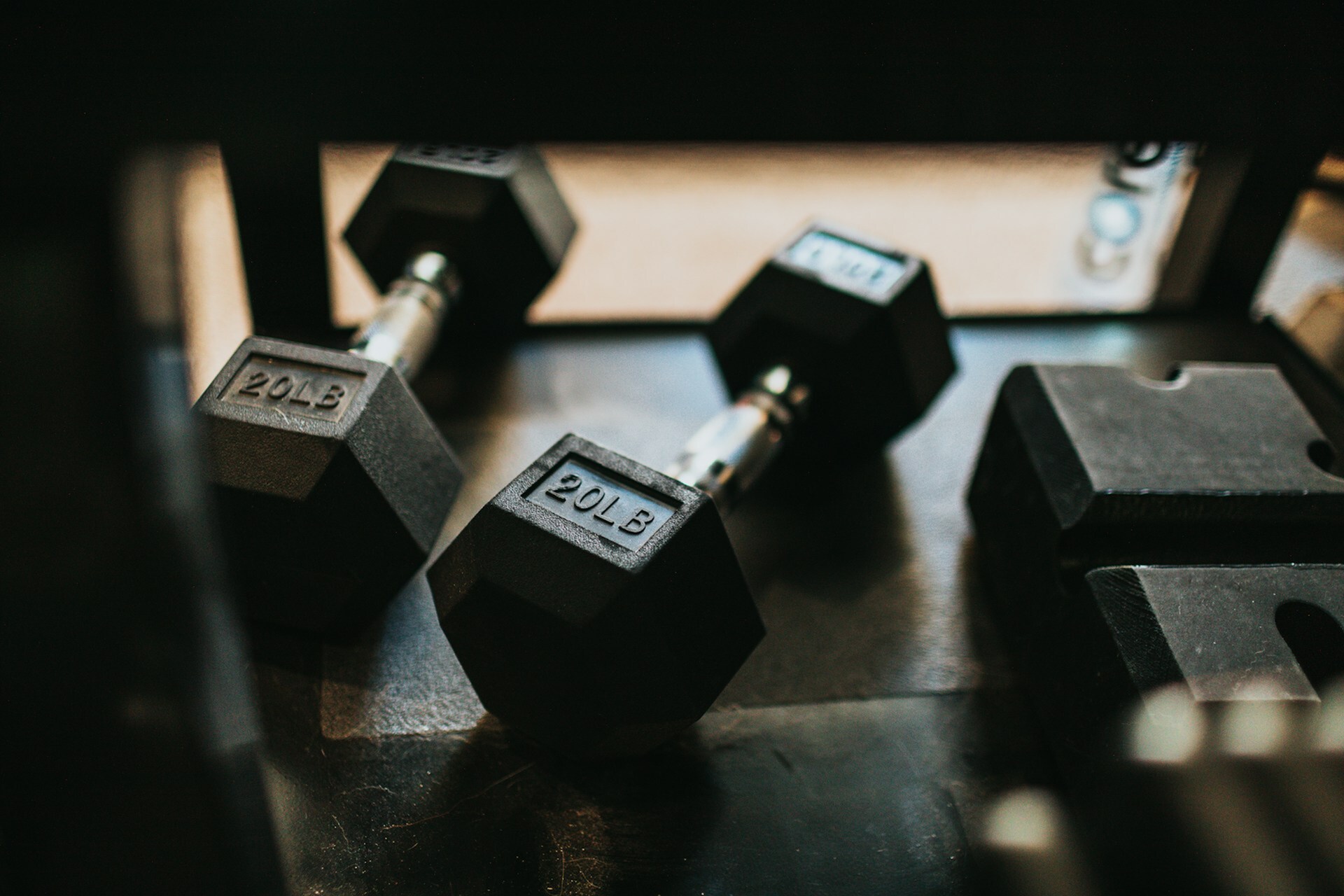 20lb weights on the floor