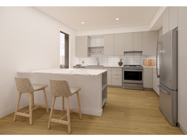 Brand new kitchen with stainless steel quartz