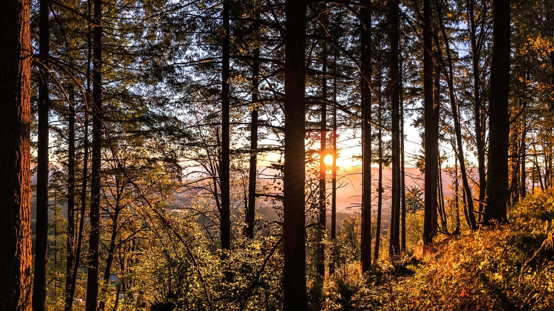 portland
