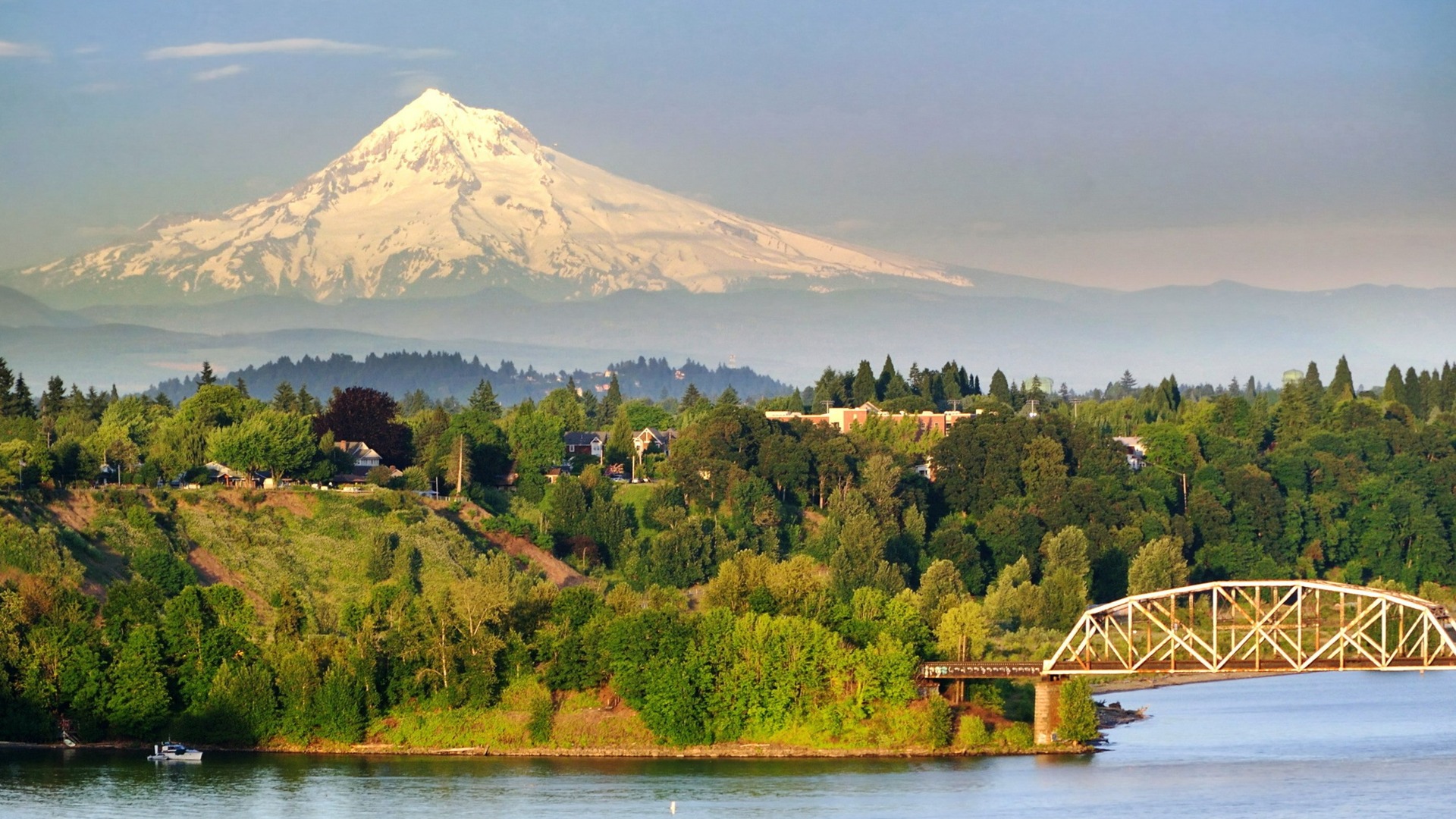 view of snowcapped mountain and endless trees in portland oregon