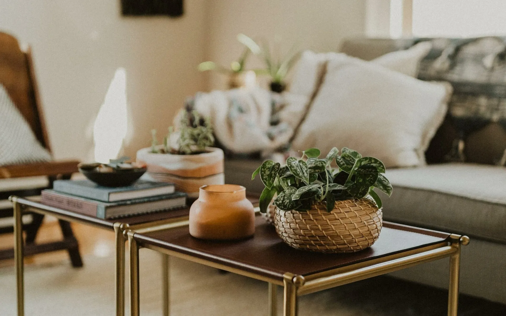 livingroom---coffee-table,-plants-and-sofa-in-the-back
