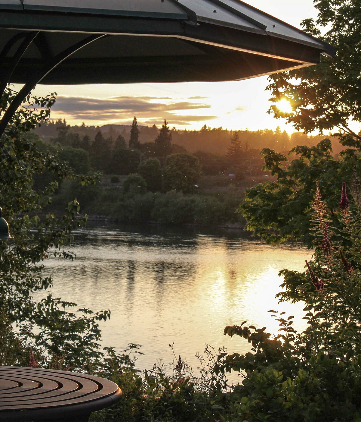 view of the Willamette River from the meridian
