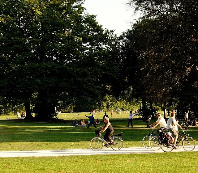 people at the park riding bikes and playing