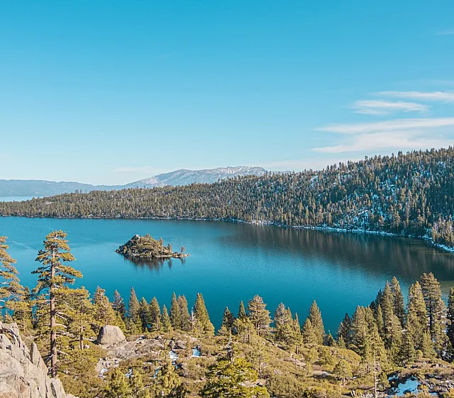 aerial view of the forest in Reno Nevada