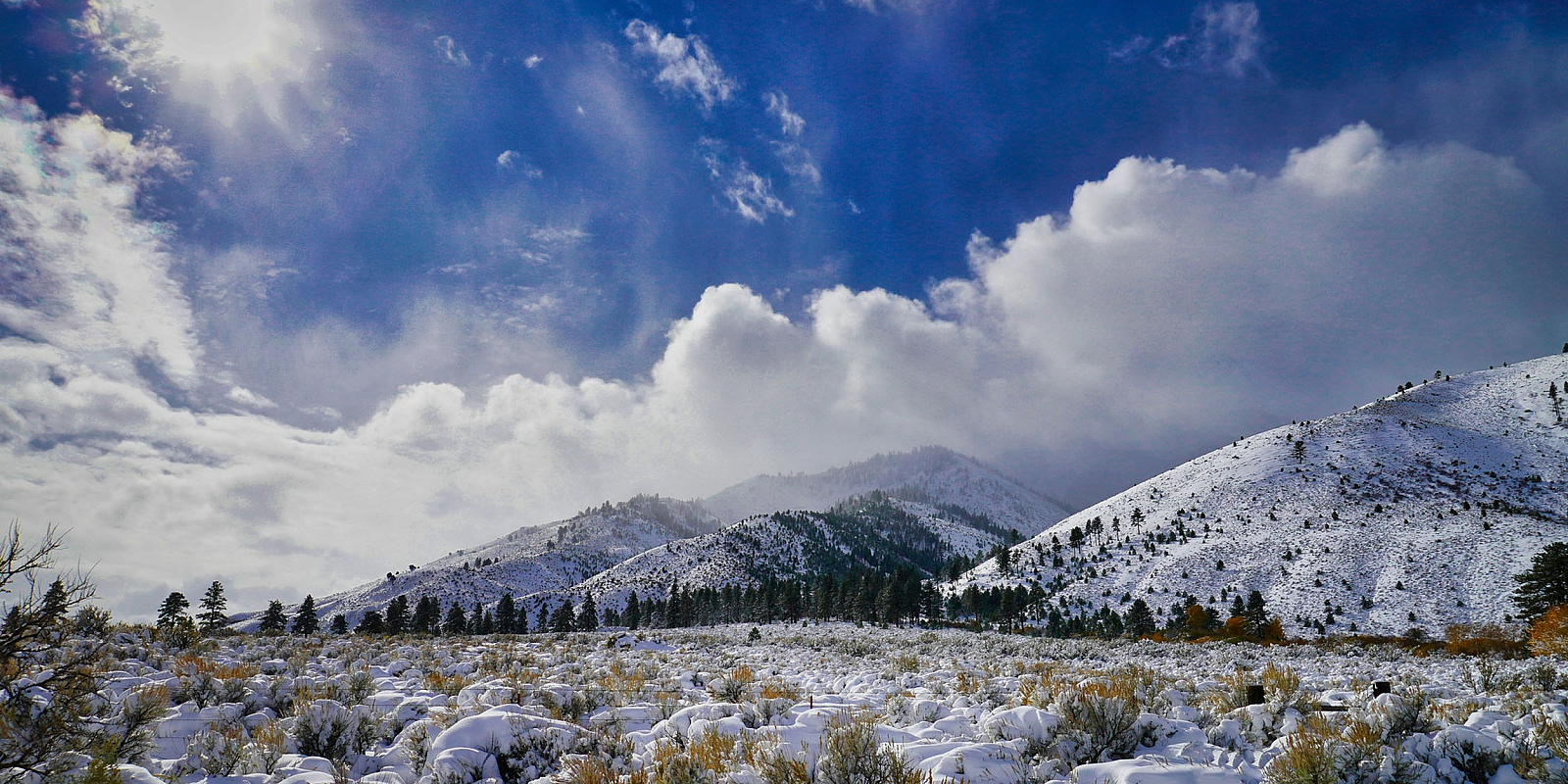 mountains near carson city