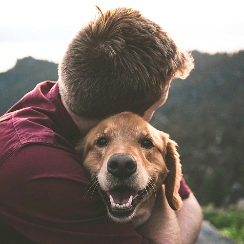 man embracing golden retriever