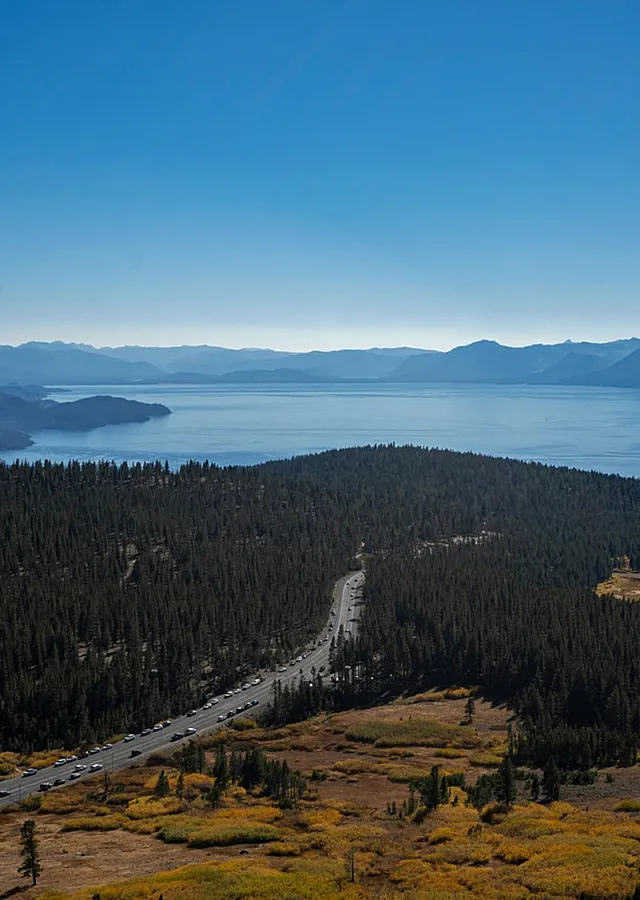 aerial view of the forest in reno nevada
