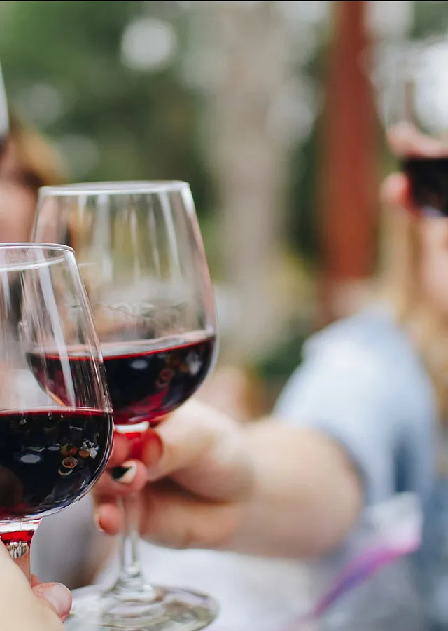 people toasting with red wine