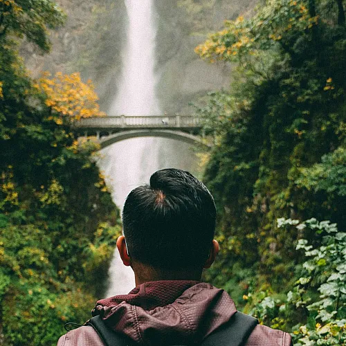man looking at a waterfall
