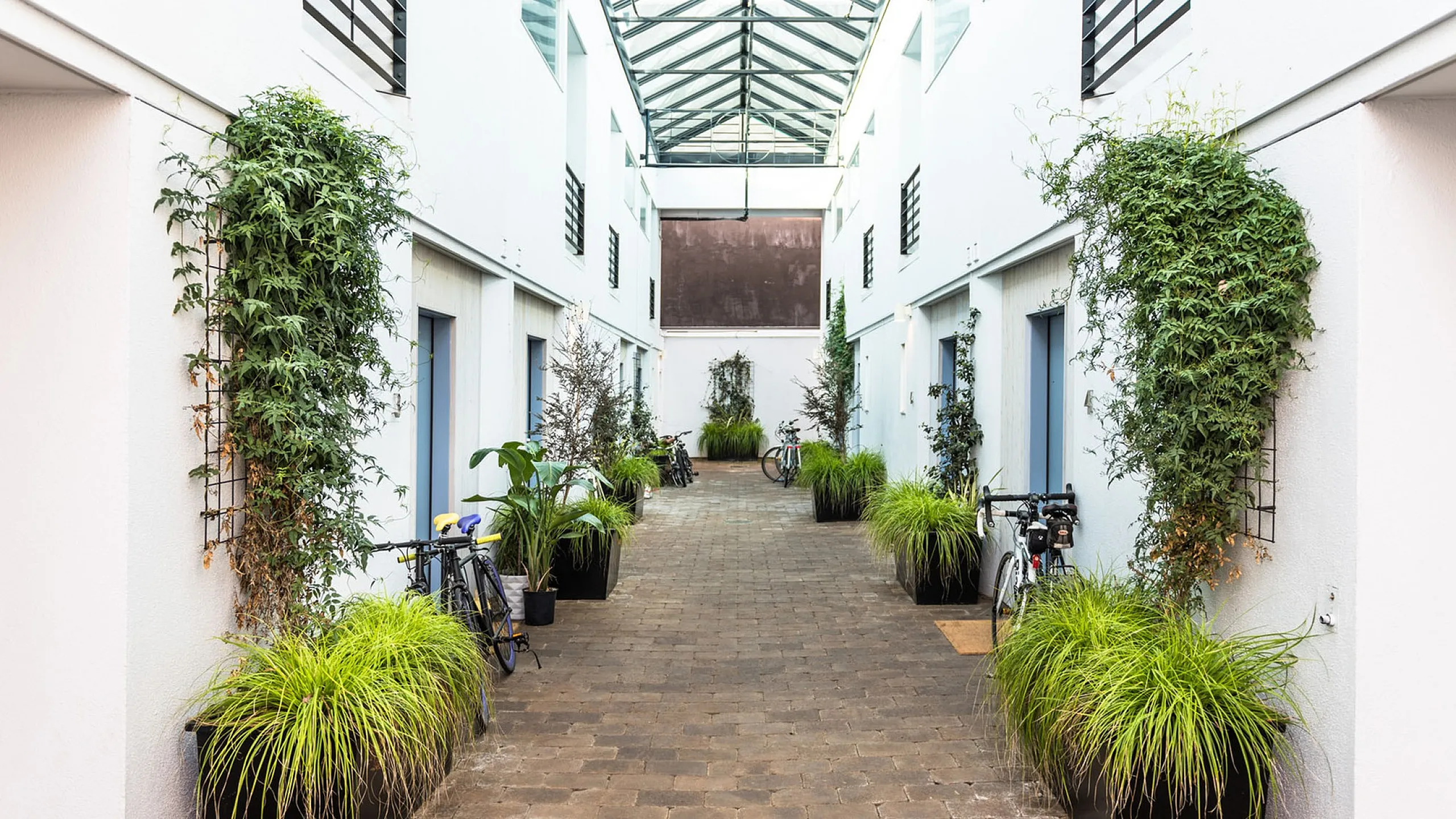 paved walkway with decorative plants near the doors