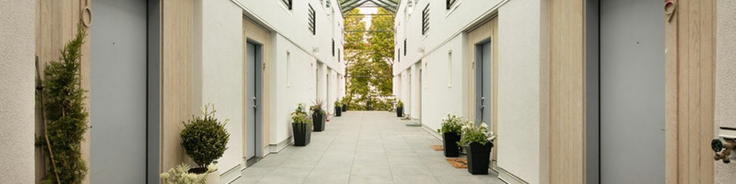 paved walkway with decorative plants near the doors