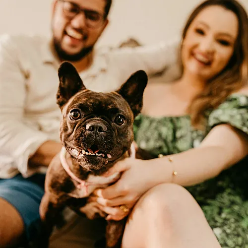 two people sitting on a sofa with their small dog in the middle