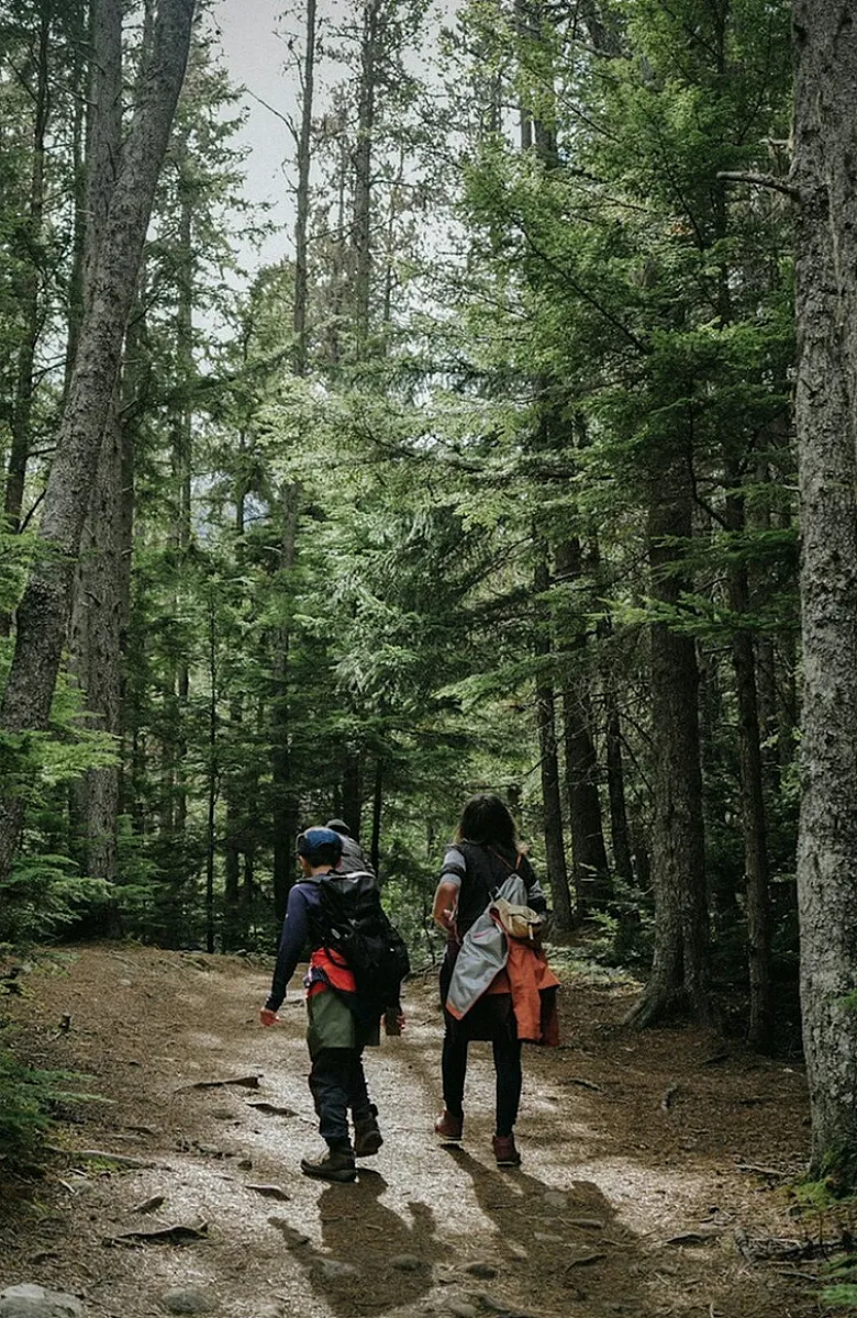 two people hiking through the woods