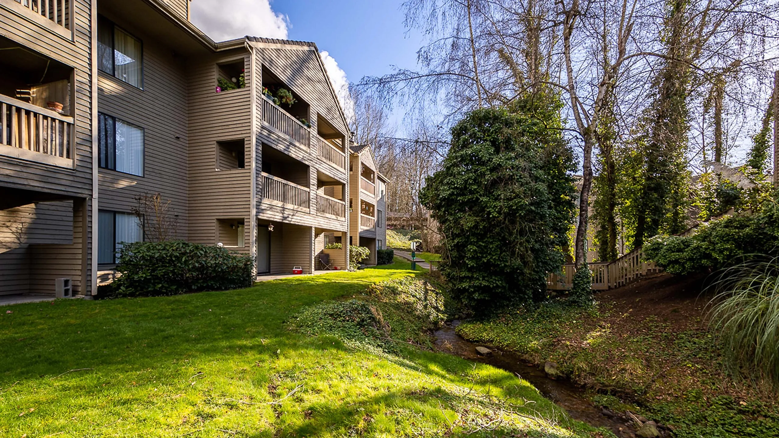 Wooden outdoor staircase and walkway winding through lush green trees at Creekwood Apartments.