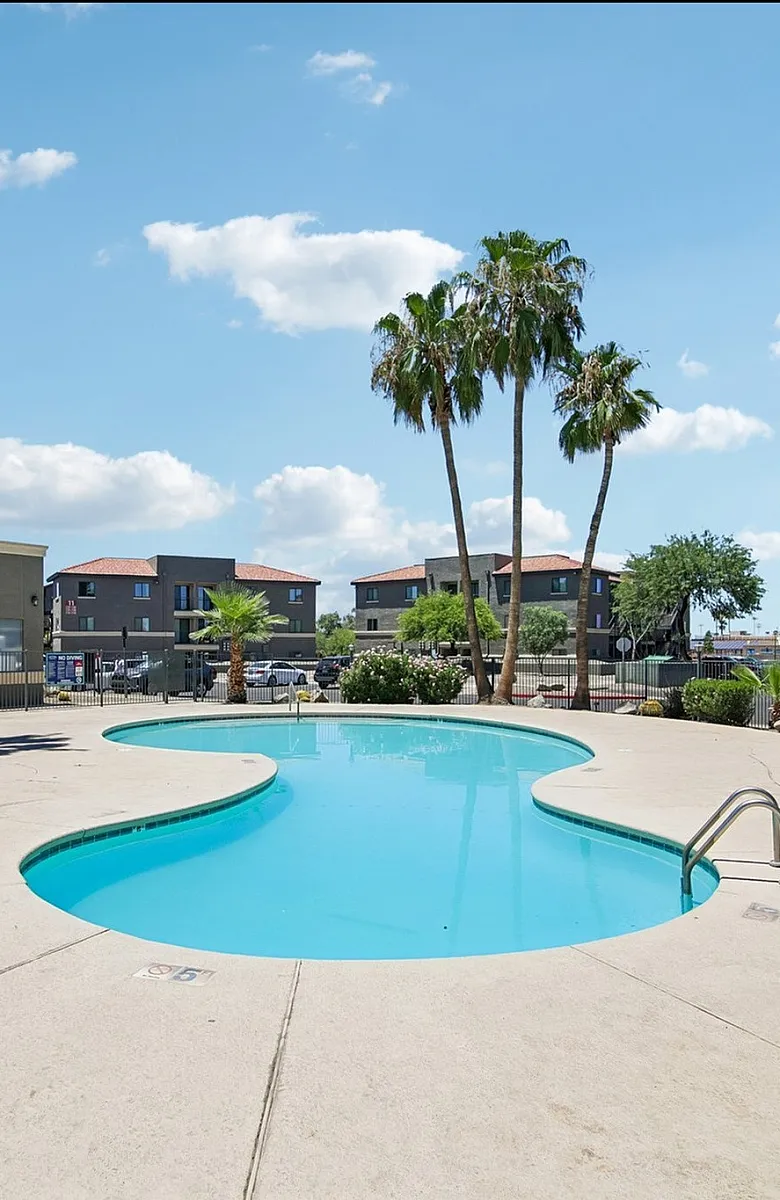 pool with palm trees in the background