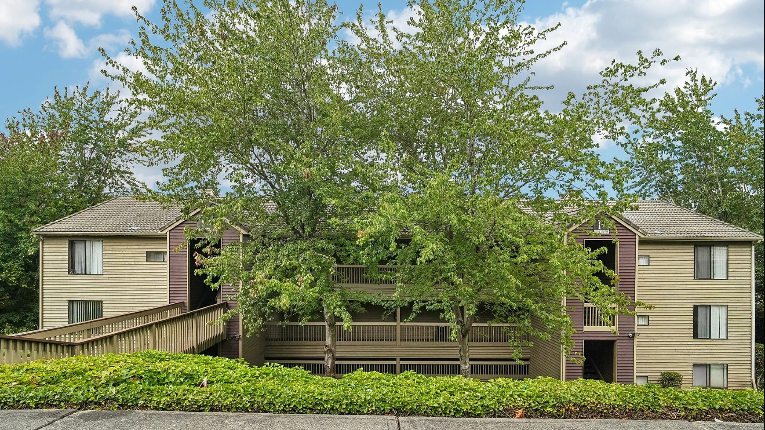 Wooden outdoor staircase and walkway winding through lush green trees at Creekwood Apartments.
