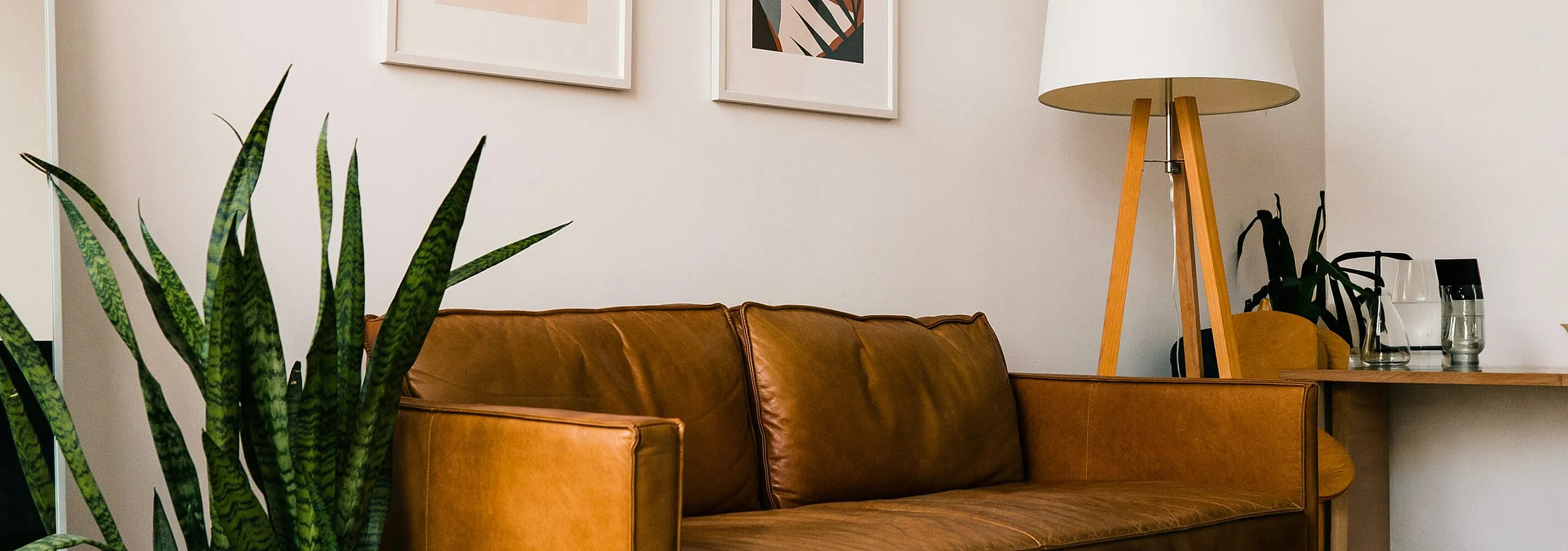 brown leather sofa with planter on one side and a lamp on the other