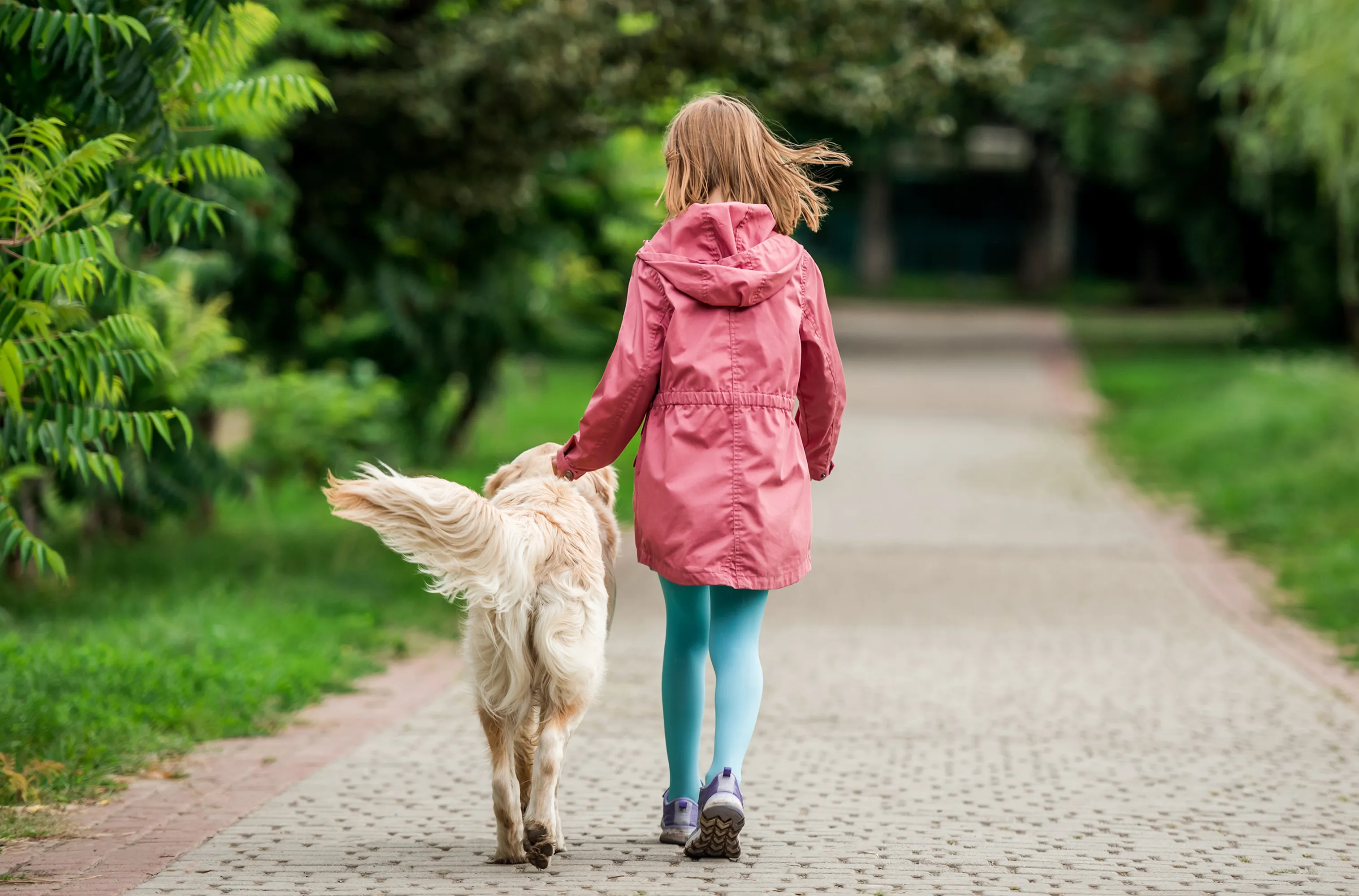Enjoy A Pet-Friendly Lifestyle at Caroline at Memorial — Your Houston Home Base for Pets and People-image