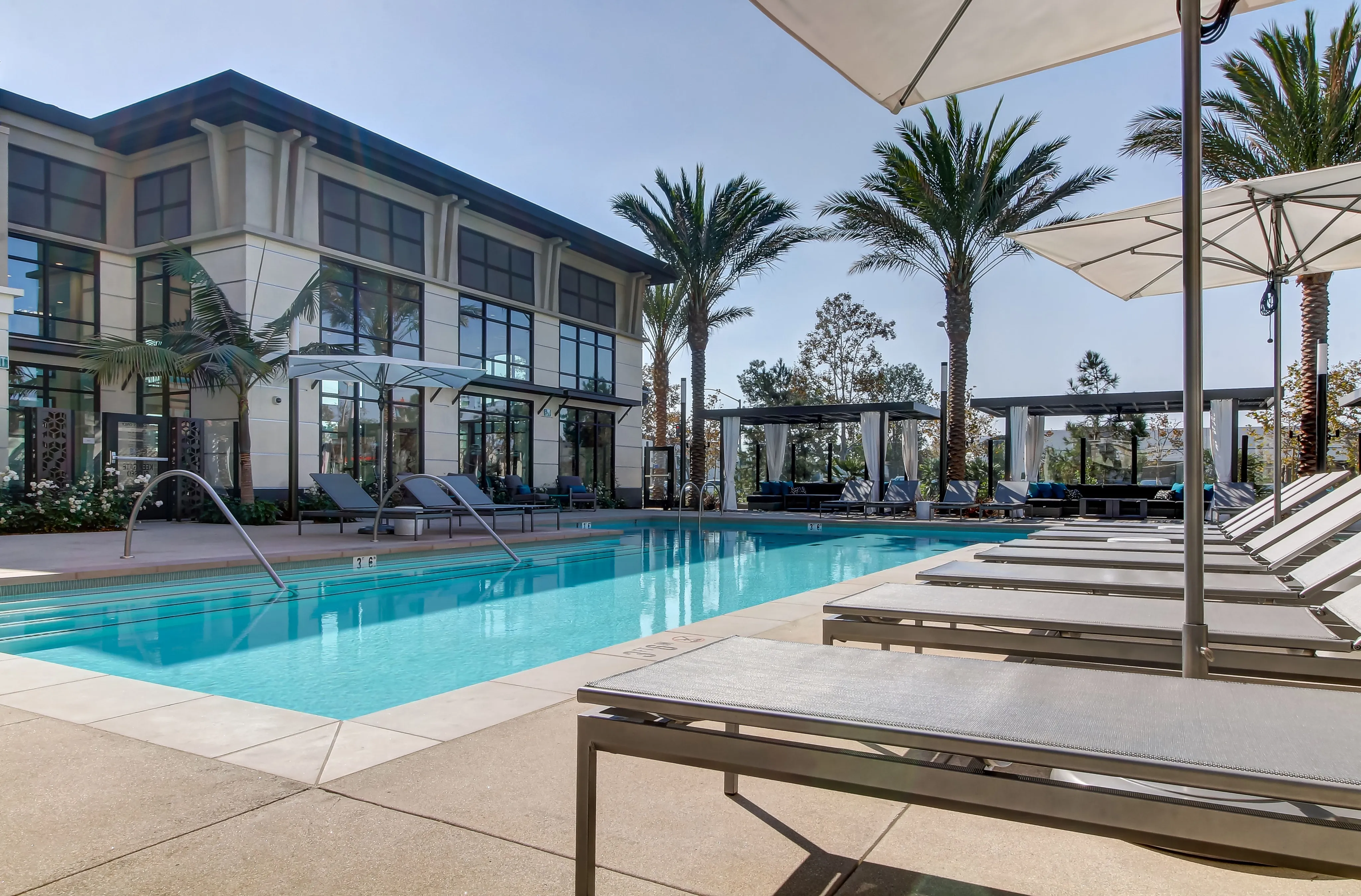 The Murphy Pool | Apartments in Irvine | Irvine, CA Apartments