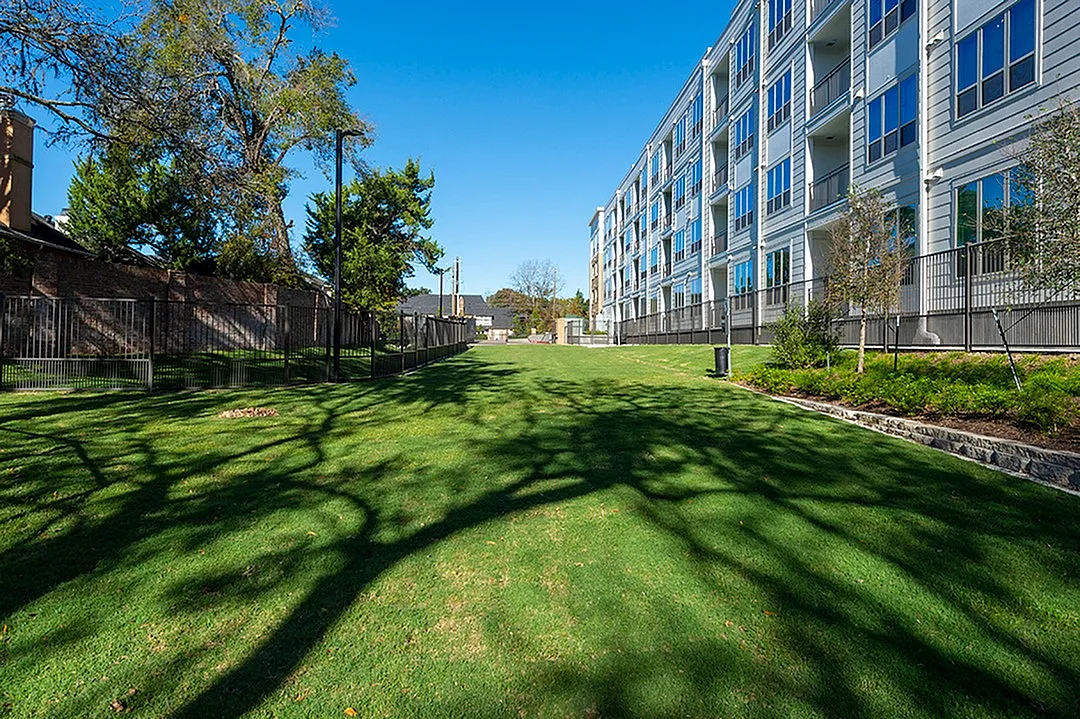 Green lawn | Caroline at Memorial | Houston, Texas