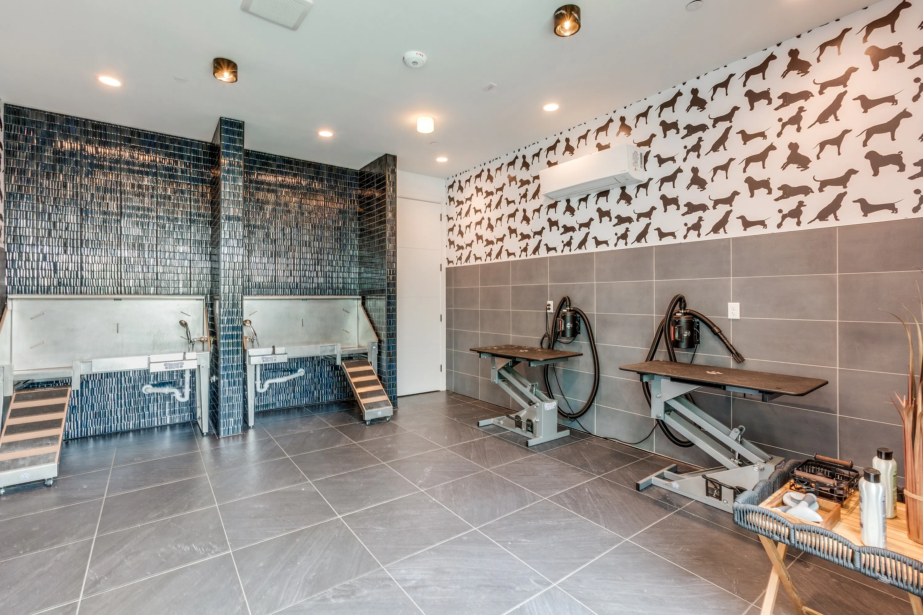 Chic pet grooming room with modern washing stations, tiled walls, and playful dog-patterned wallpaper.