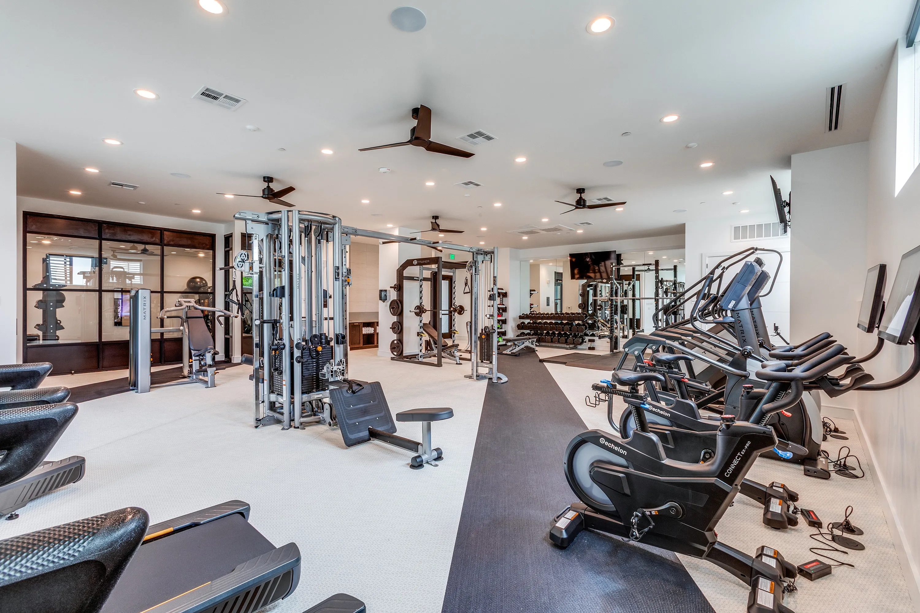 Modern fitness center with state-of-the-art exercise equipment, ample natural light, and spacious workout areas.