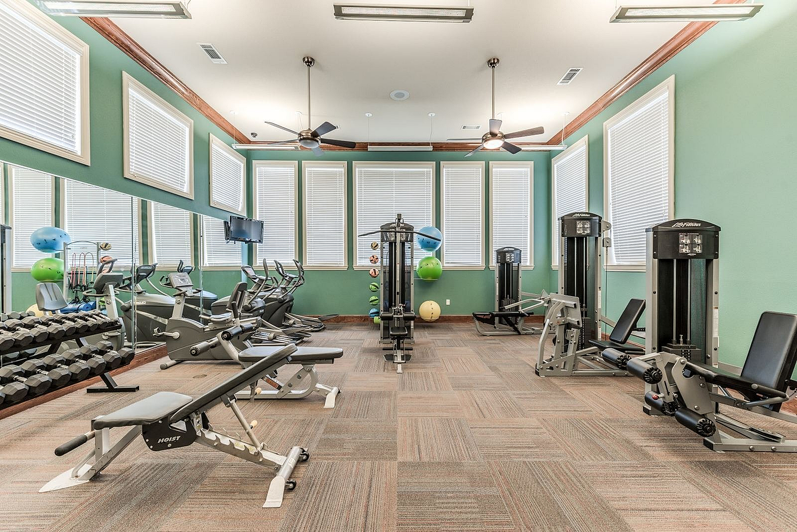 Community fitness center with cardio equipment, strength machines, and free weights