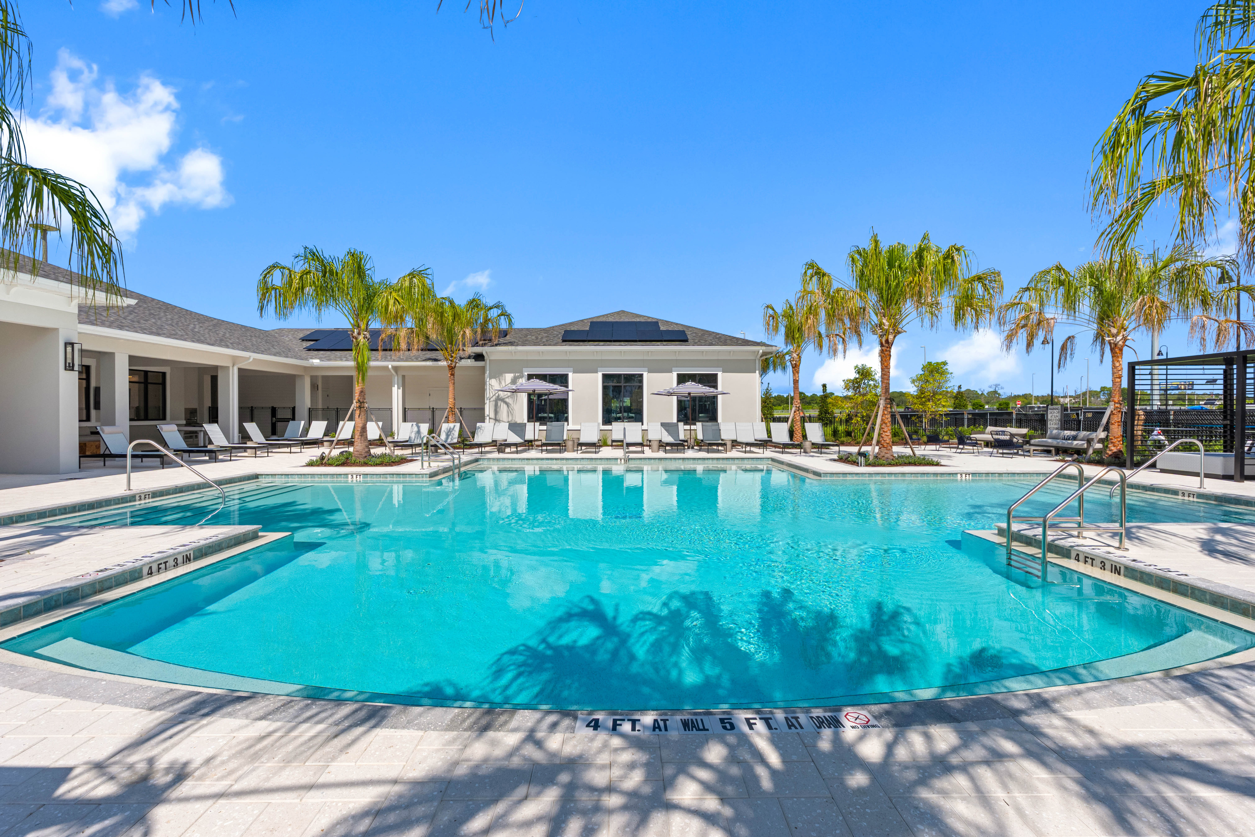 Luxurious outdoor pool surrounded by palm trees and modern lounge chairs, perfect for relaxation and leisure in a sunny setting.