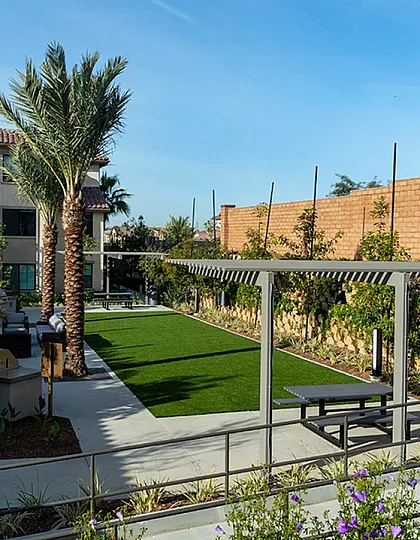 Stylish outdoor courtyard with palm trees, manicured lawn, and modern seating area.