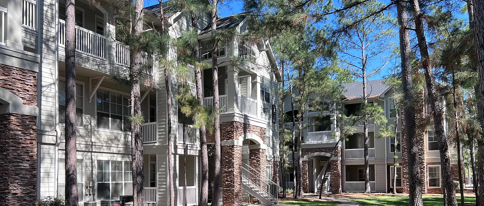 Charming apartment complex nestled among tall pine trees with a serene walkway.
