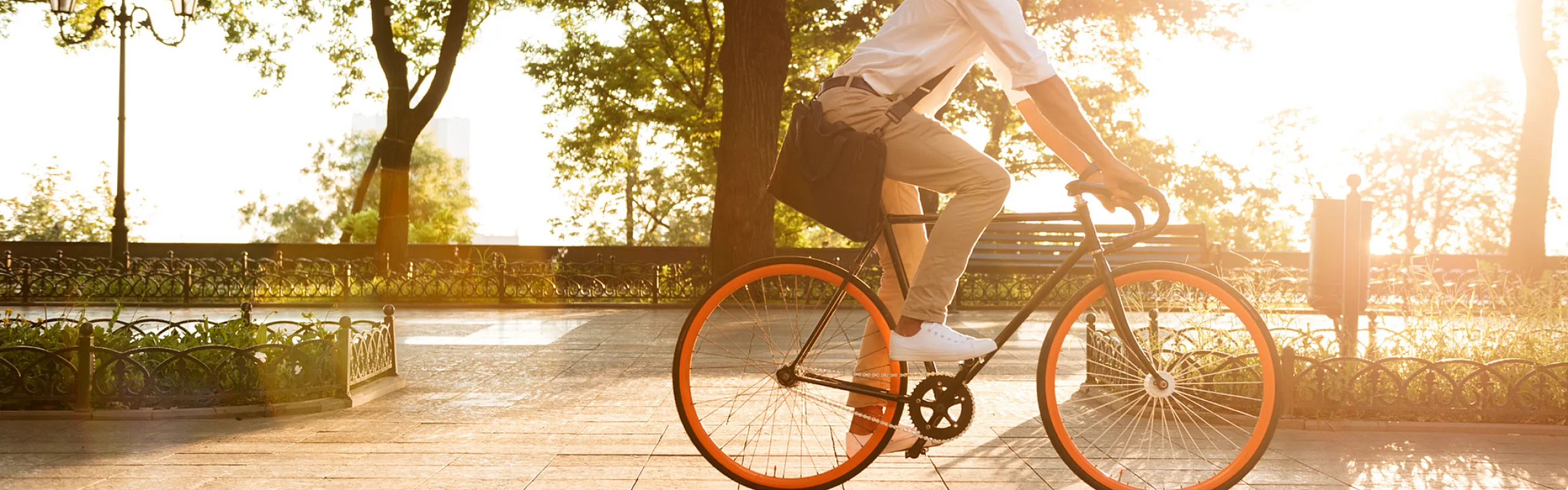 A cyclist riding a bike with bright orange wheels through a park bathed in golden sunlight.