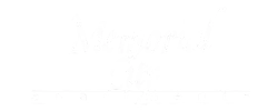 Elegant logo for Memorial City Apartments with stylish typography.