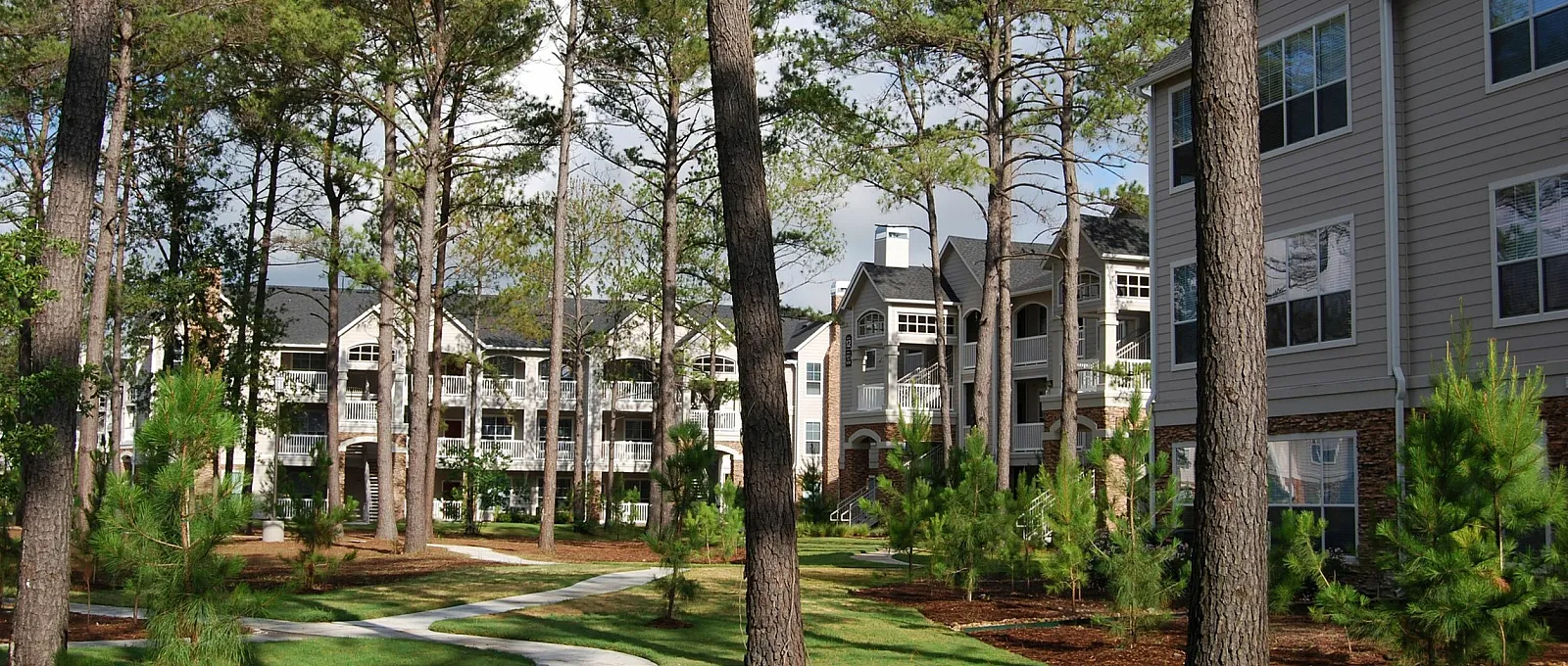 Charming apartment complex nestled among tall pine trees, featuring nature-inspired pathways and lush green surroundings.