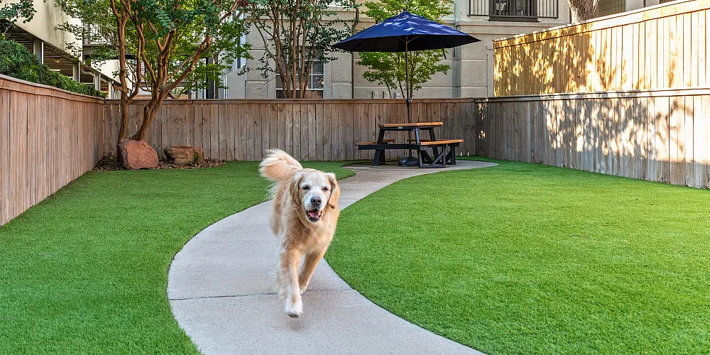 Charming outdoor space with lush green lawn and walking path, perfect for pets; features a picnic area with an umbrella for relaxing in the sun.