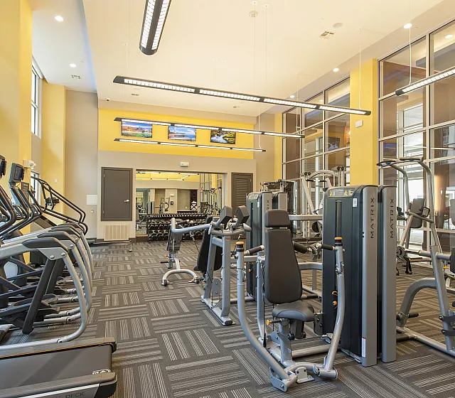 Modern fitness center with state-of-the-art cardio and strength training equipment, vibrant yellow walls, and large windows for natural light.
