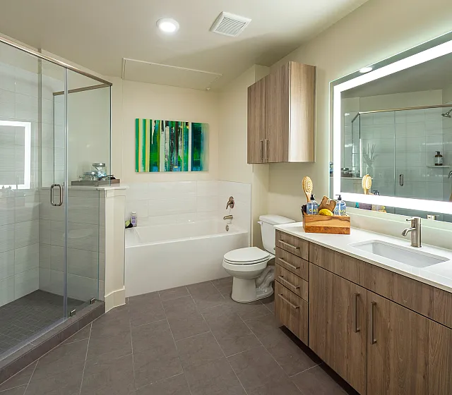 Modern bathroom with sleek glass shower, elegant wood cabinetry, and spacious bathtub under soft ambient lighting.