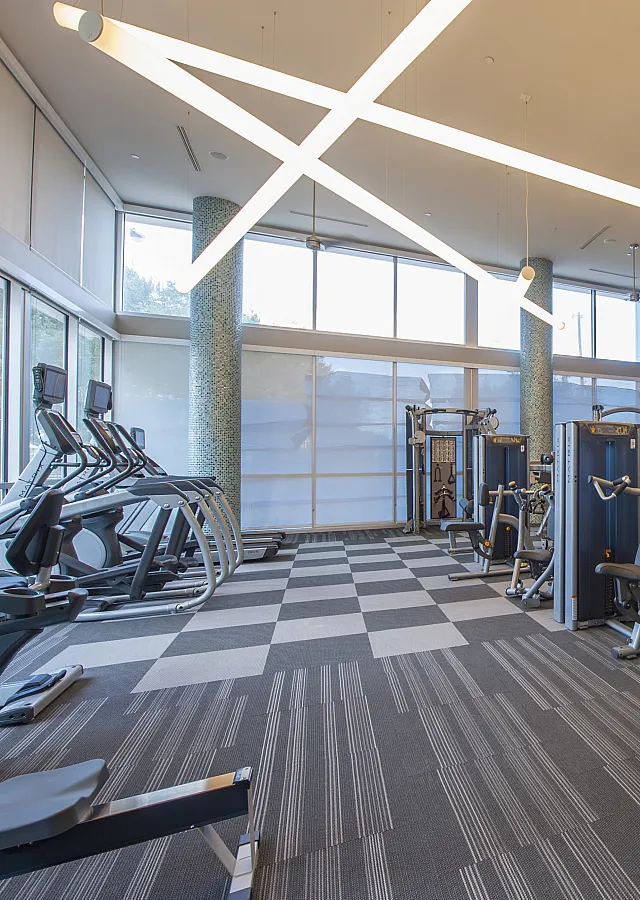 Modern gym with state-of-the-art equipment, sleek design, and ample natural light creating an inviting fitness environment.