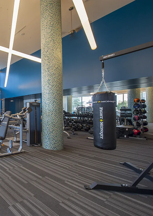 Modern gym facility with state-of-the-art equipment, natural lighting, and spacious layout, ideal for fitness enthusiasts.