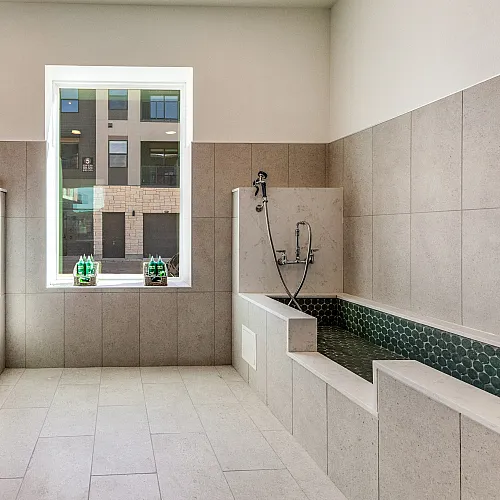 pet friendly apartments | dog wash in apartment