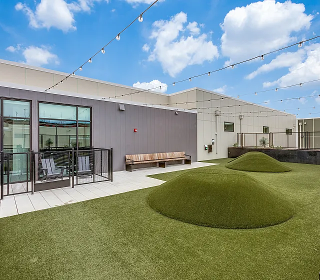 Pearl Springdale Pet Park