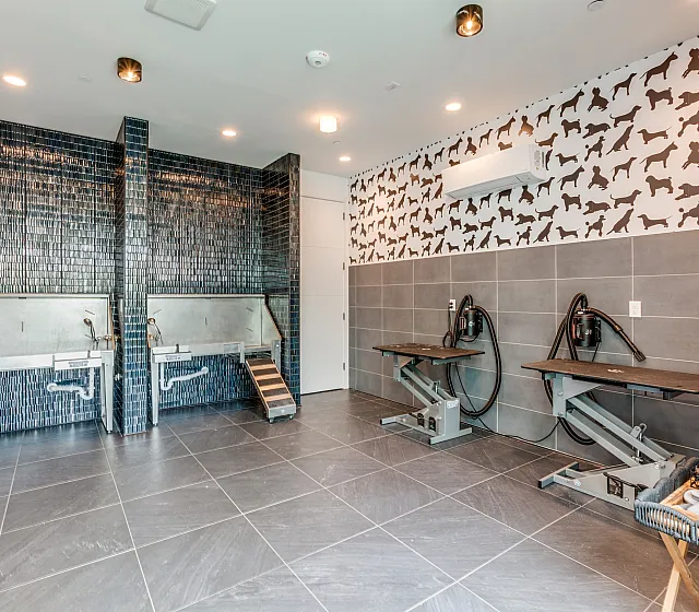 pearl springdale pet wash | pearl springdale pet friendly