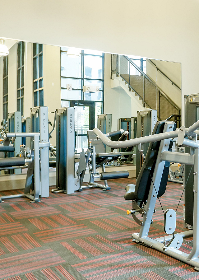 Modern fitness center equipped with state-of-the-art exercise machines and vibrant carpeting, ideal for health enthusiasts.